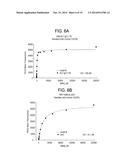 ANTI-CXCR4 ANTIBODIES AND METHODS OF USE diagram and image