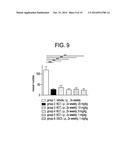 ANTI-CXCR4 ANTIBODIES AND METHODS OF USE diagram and image