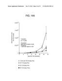 ANTI-CXCR4 ANTIBODIES AND METHODS OF USE diagram and image