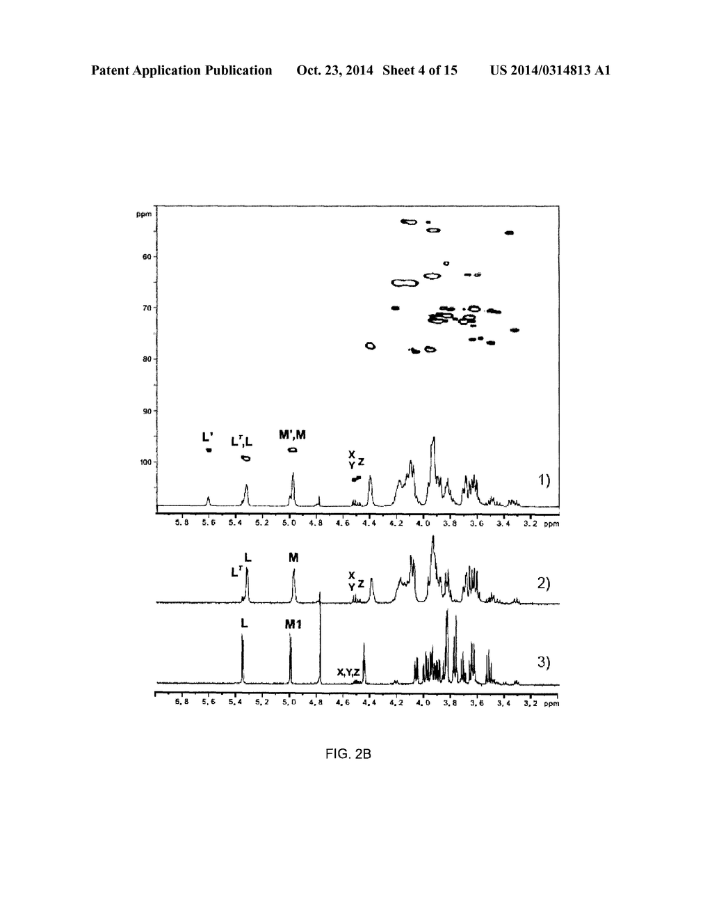 CLOSTRIDIUM DIFFICILE LIPOTEICHOIC ACID AND USES THEREOF - diagram, schematic, and image 05