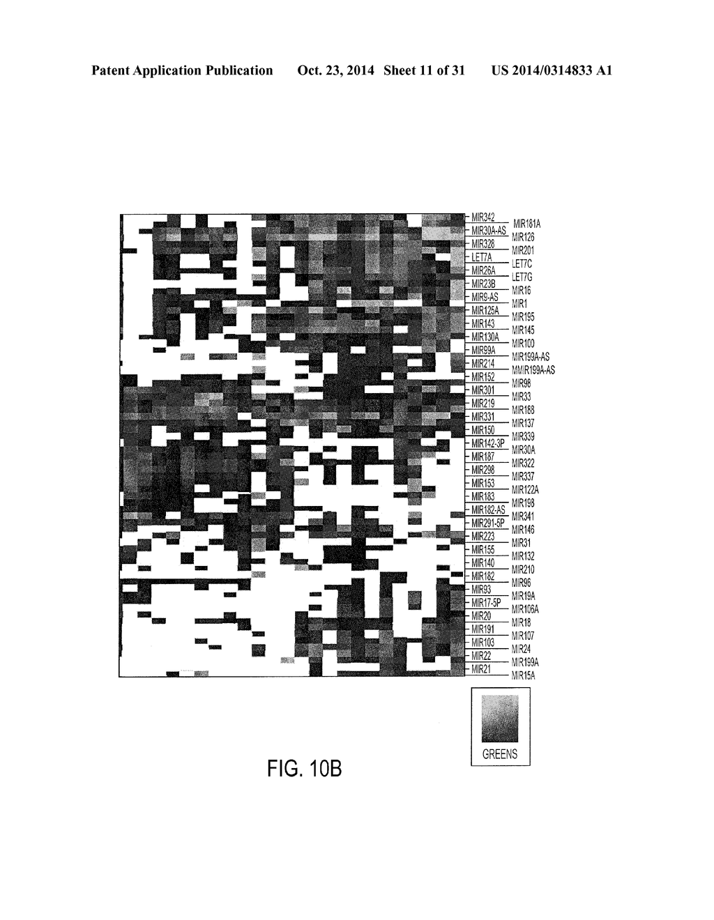 METHODS AND COMPOSITIONS INVOLVING MIRNA AND MIRNA INHIBITOR MOLECULES - diagram, schematic, and image 12