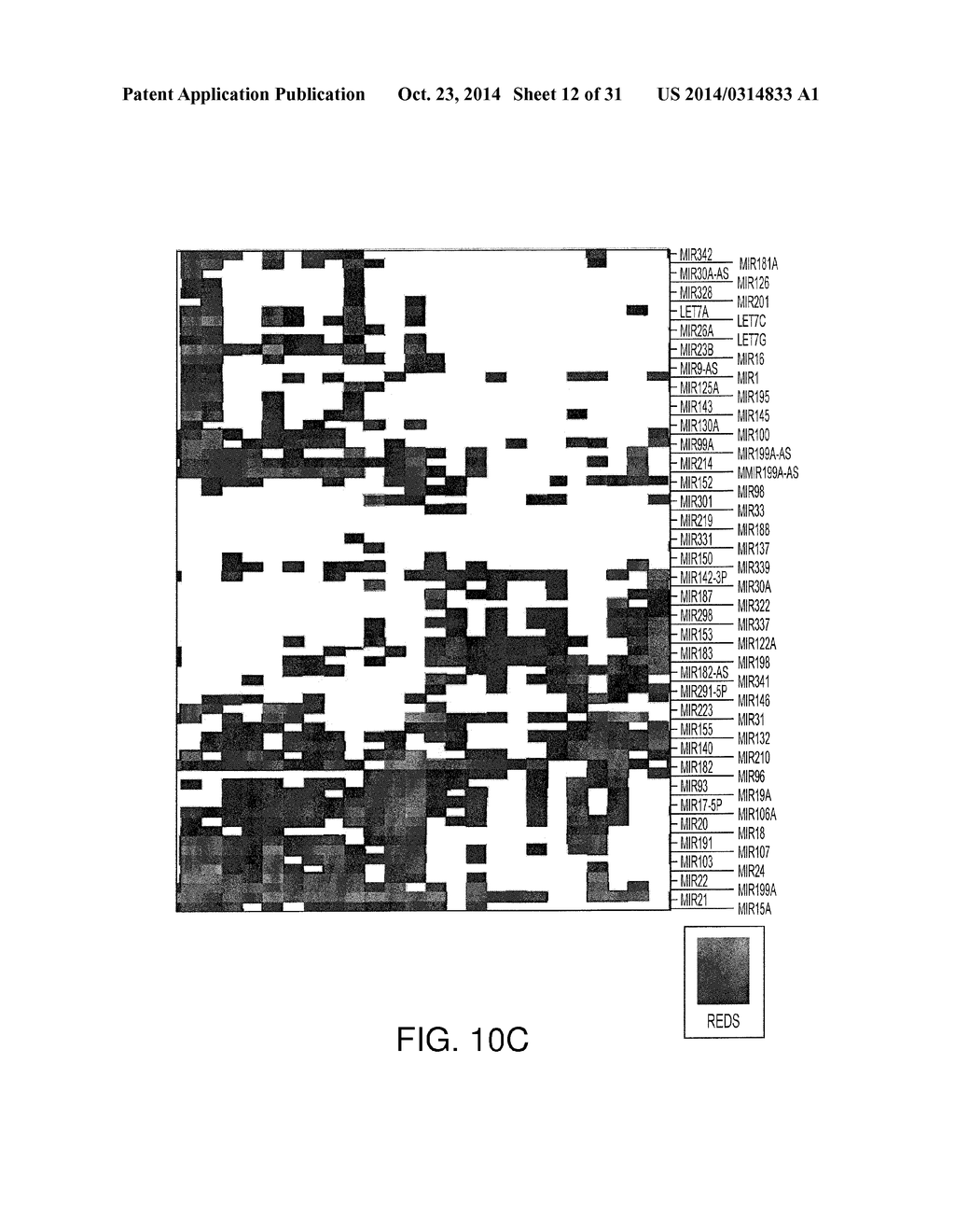 METHODS AND COMPOSITIONS INVOLVING MIRNA AND MIRNA INHIBITOR MOLECULES - diagram, schematic, and image 13