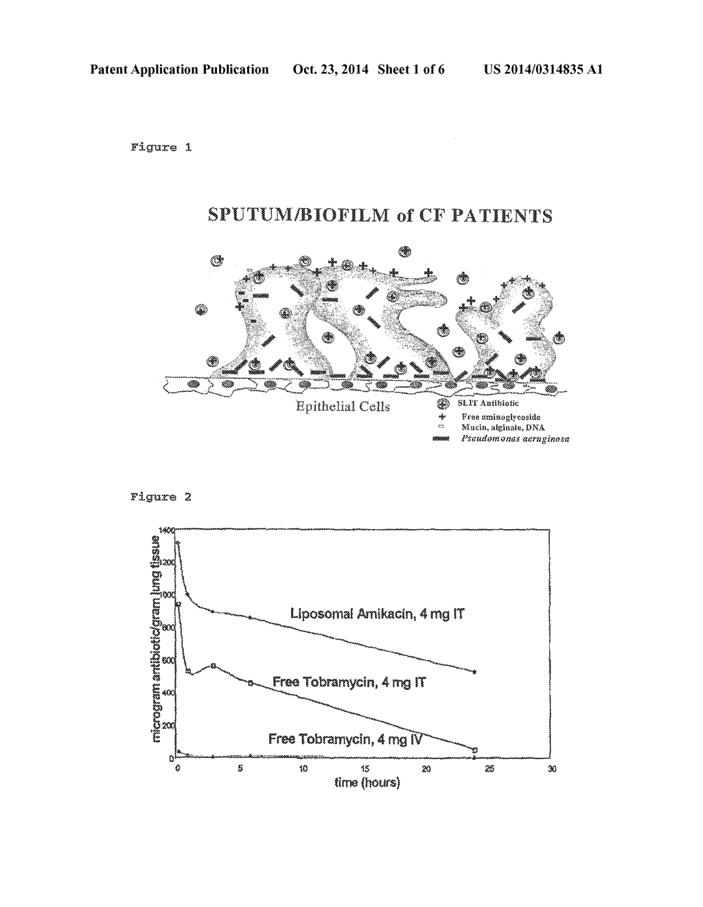 SUSTAINED RELEASE OF ANTIINFECTIVES - diagram, schematic, and image 02