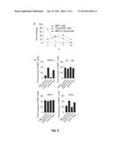 Modulation of Midbody Derivatives diagram and image