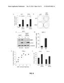 Modulation of Midbody Derivatives diagram and image