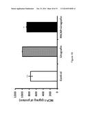 USE OF PITUITARY ADENYLATE CYCLASE-ACTIVATING POLYPEPTIDE (PACAP) AND     PACAP ANALOGS FOR TREATING CONTRAST-INDUCED NEPHROPATHY diagram and image