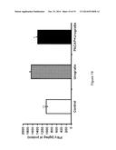 USE OF PITUITARY ADENYLATE CYCLASE-ACTIVATING POLYPEPTIDE (PACAP) AND     PACAP ANALOGS FOR TREATING CONTRAST-INDUCED NEPHROPATHY diagram and image