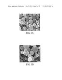 VITAMIN K2 MICROSPHERES diagram and image