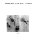 INTRA-MAMMARY TEAT SEALANT FORMULATION AND METHOD OF USING SAME TO REDUCE     OR ELIMINATE VISUAL DEFECTS IN AGED CHEESES diagram and image