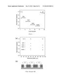 METHOD OF FABRICATING A THREE-DIMENSIONAL (3D) POROUS ELECTRODE     ARCHITECTURE FOR A MICROBATTERY diagram and image