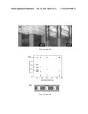 METHOD OF FABRICATING A THREE-DIMENSIONAL (3D) POROUS ELECTRODE     ARCHITECTURE FOR A MICROBATTERY diagram and image