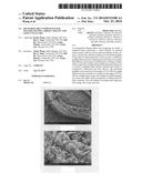 Rechargeable lithium-sulfur battery having a high capacity and long cycle     life diagram and image