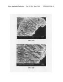 Rechargeable lithium-sulfur battery having a high capacity and long cycle     life diagram and image