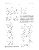 DEVELOPER AND PATTERNING PROCESS diagram and image