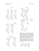 DEVELOPER AND PATTERNING PROCESS diagram and image