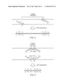 MULTIFUNCTIONAL PROBE-PRIMERS diagram and image