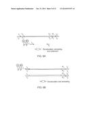 MULTIFUNCTIONAL PROBE-PRIMERS diagram and image