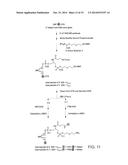 MULTIFUNCTIONAL PROBE-PRIMERS diagram and image