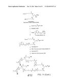 MULTIFUNCTIONAL PROBE-PRIMERS diagram and image