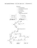 MULTIFUNCTIONAL PROBE-PRIMERS diagram and image