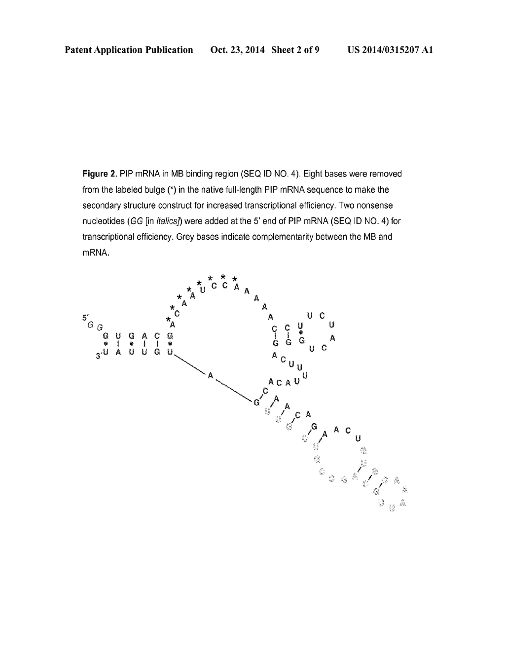 MOLECULAR BEACON BASED ASSAY FOR THE DETECTION OF BIOMARKERS FOR BREAST     CANCER METASTASIS - diagram, schematic, and image 03