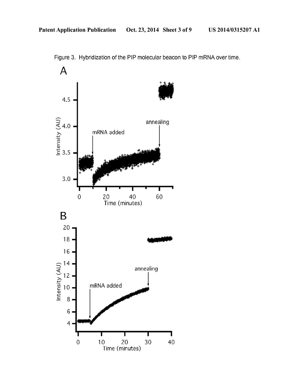 MOLECULAR BEACON BASED ASSAY FOR THE DETECTION OF BIOMARKERS FOR BREAST     CANCER METASTASIS - diagram, schematic, and image 04