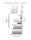 Interleukin-31 Monoclonal Antibody diagram and image