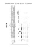 Interleukin-31 Monoclonal Antibody diagram and image