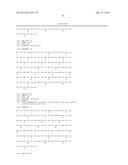 Interleukin-31 Monoclonal Antibody diagram and image