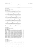 Interleukin-31 Monoclonal Antibody diagram and image