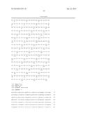 Interleukin-31 Monoclonal Antibody diagram and image