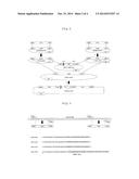 GENE TARGETING VECTOR, METHOD FOR MANUFACTURING SAME, AND METHOD FOR USING     SAME diagram and image