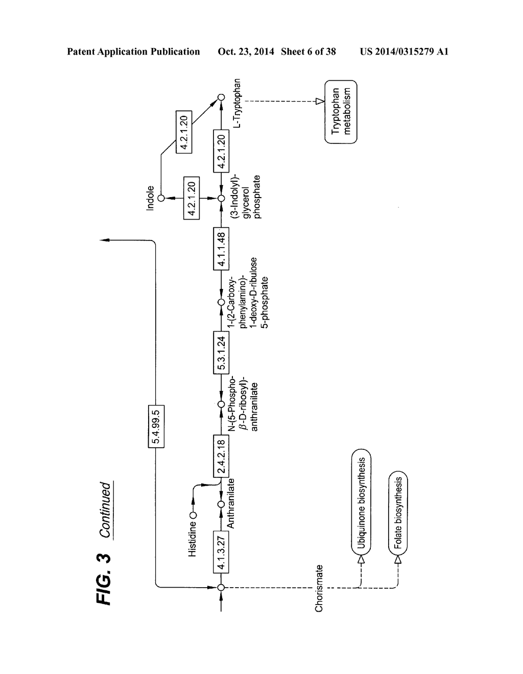 PRODUCTION OF QUINONE DERIVED COMPOUNDS IN OLEAGINOUS YEAST AND FUNGI - diagram, schematic, and image 07