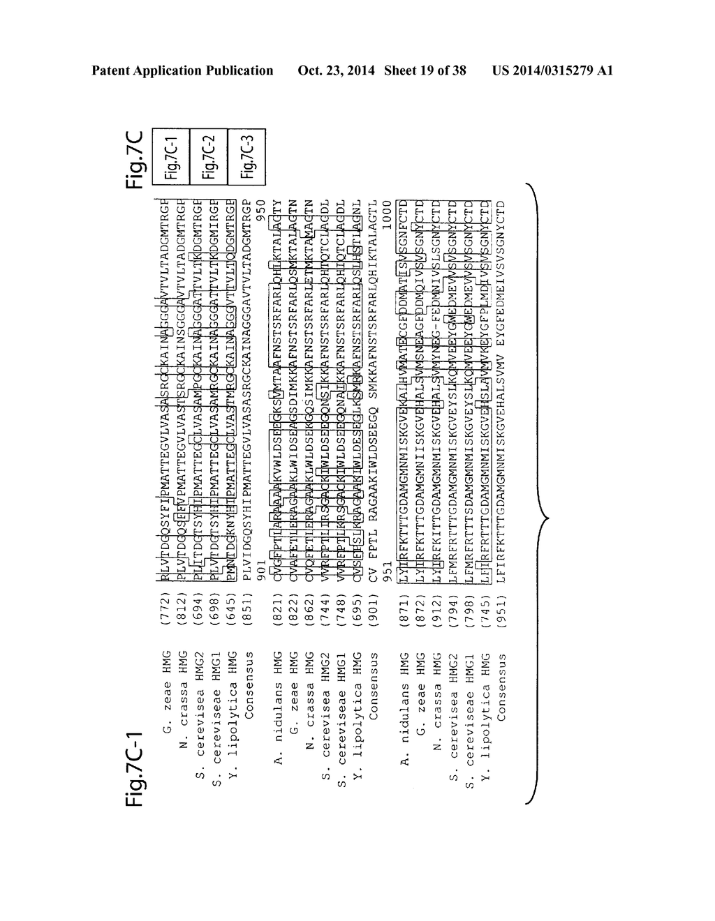 PRODUCTION OF QUINONE DERIVED COMPOUNDS IN OLEAGINOUS YEAST AND FUNGI - diagram, schematic, and image 20