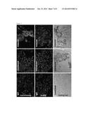 GLUCOMANNAN SCAFFOLDING FOR THREE-DIMENSIONAL TISSUE CULTURE AND     ENGINEERING diagram and image