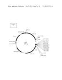 ENGINEERED LISTERIA AND METHODS OF USE THEREOF diagram and image