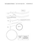 ENGINEERED LISTERIA AND METHODS OF USE THEREOF diagram and image