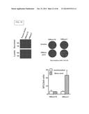 ENGINEERED LISTERIA AND METHODS OF USE THEREOF diagram and image