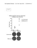 ENGINEERED LISTERIA AND METHODS OF USE THEREOF diagram and image