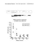 ENGINEERED LISTERIA AND METHODS OF USE THEREOF diagram and image