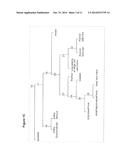 GENE EXPRESSION SIGNATURE FOR CLASSIFICATION OF TISSUE OF ORIGIN OF TUMOR     SAMPLES diagram and image