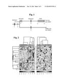 ANTIGEN ARRAY AND DIAGNOSTIC USES THEREOF diagram and image