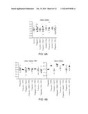 METHODS AND PRODUCTS FOR TREATING PREECLAMPSIA AND MODULATING BLOOD     PRESSURE diagram and image