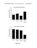 METHODS AND PRODUCTS FOR TREATING PREECLAMPSIA AND MODULATING BLOOD     PRESSURE diagram and image