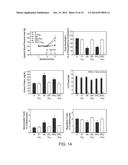 METHODS AND PRODUCTS FOR TREATING PREECLAMPSIA AND MODULATING BLOOD     PRESSURE diagram and image