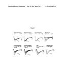 TREATMENTS INVOLVING ESLICARBAZEPINE ACETATE OR ESLICARBAZEPINE diagram and image