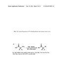 Synthesis of Libraries of Peptide Tertiary Amides diagram and image