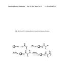 Synthesis of Libraries of Peptide Tertiary Amides diagram and image