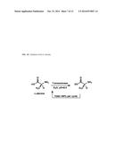 Synthesis of Libraries of Peptide Tertiary Amides diagram and image