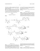 COMPOSITIONS COMPRISING NORIBOGAINE AND AN EXCIPIENT TO FACILITATE     TRANSPORT ACROSS THE BLOOD BRAIN BARRIER diagram and image